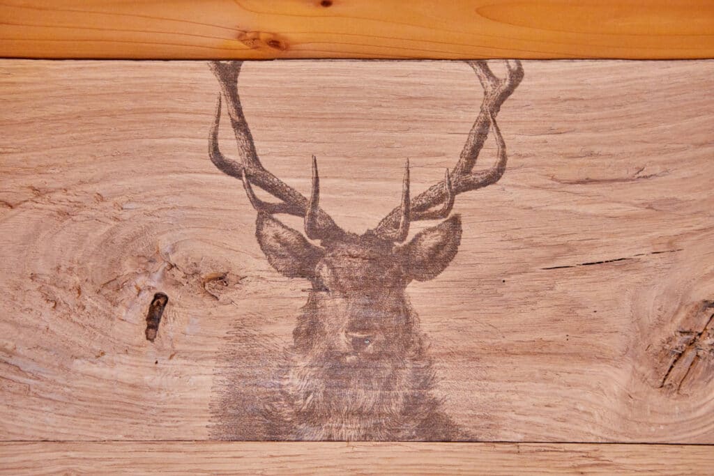 Hirschmotiv Ferienwohnung Arnspitze Bild 3